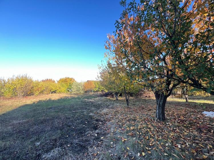 Teren constructie 800mp Rediu Horlesti - 1