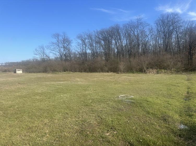 Teren de vanzare Pantelimon-Cernica - 4