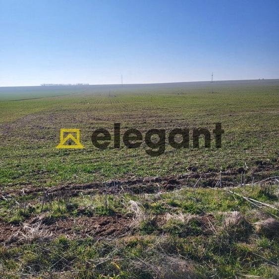 Teren 1.500 mp, deschidere 15 ml, Carcea in apropiere de VEROTHERM VILLAS - 4