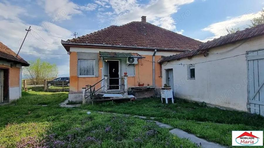 Casa cu teren 14,40 ari in Corod-Culciu jud Satu Mare - 9