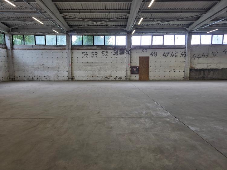 Hala Bartolomeu Brintex - 3