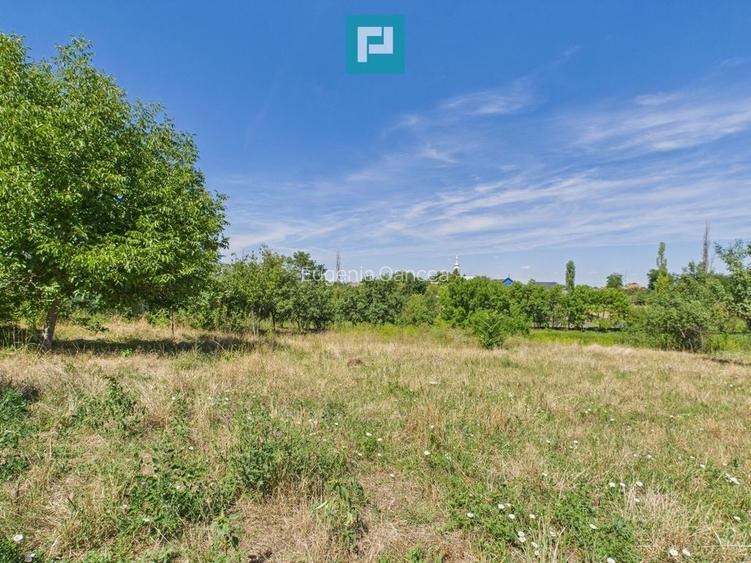 Teren 4919 mp– Comuna Călacea