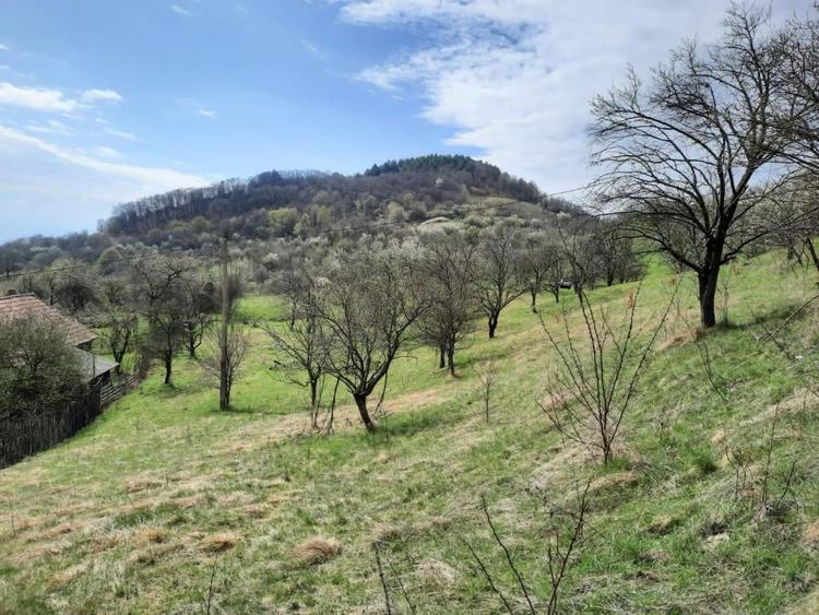 TEREN INTRAVILAN 13700 MP, INURI, VINTU DE JOS - 1