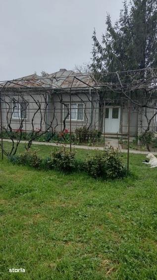 Casa de vanzare Dascalesti ,Buzau - 8