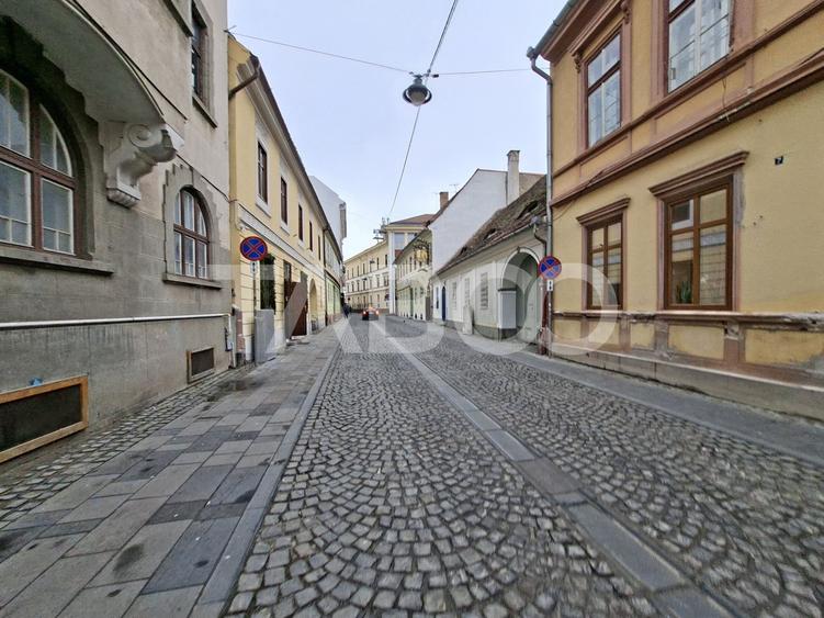 Apartament complet renovat 2 camere garaj acces auto Centru Istoric - 6