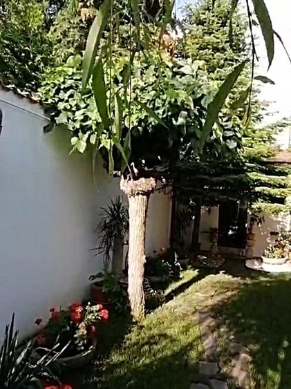 Vanzare casa renovata 2 camere curte proprie foisor Cotroceni - 3