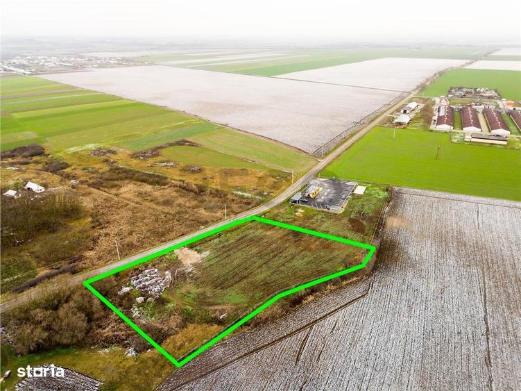 RECO . Teren extravilan 5000mp , 110ml front . - 8