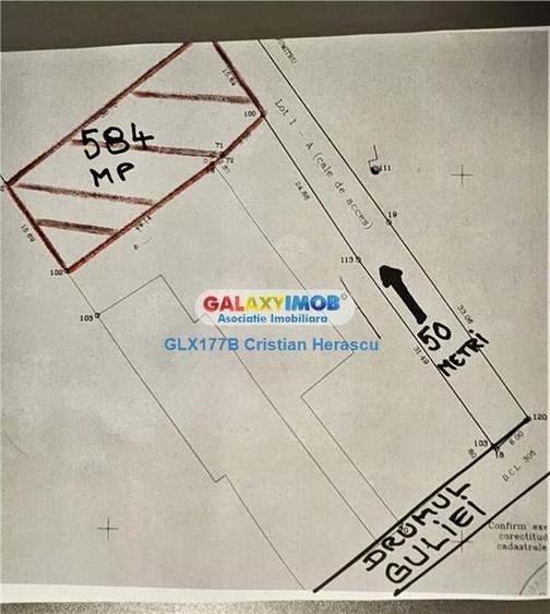 Samurcasi Drumul Guliei 584 mp deschidere 16 ml - 2