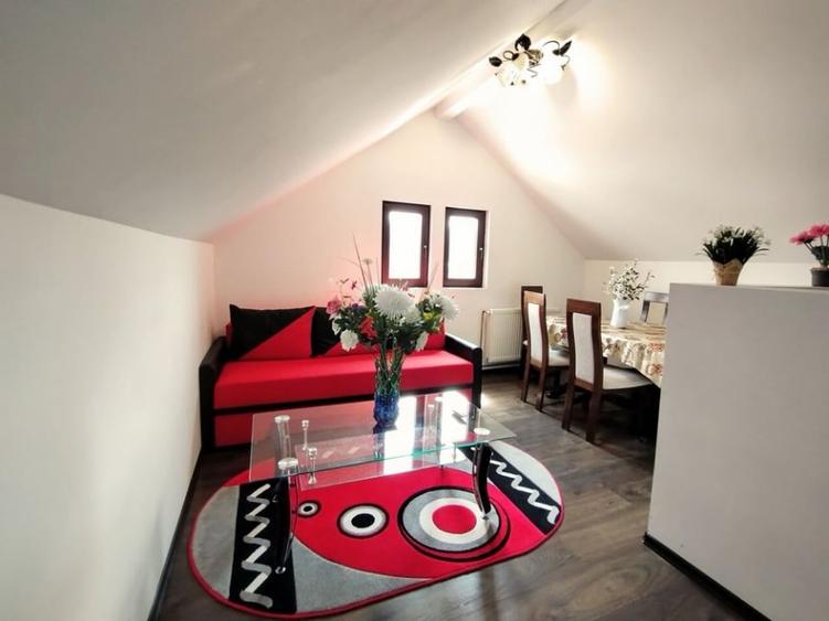 Apartament 3 Camere Busteni - 3