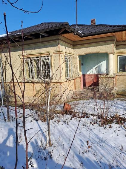 Dascalu, casa veche 4 camere, acoperis nou, teren 1300 mp, deschidere 39 m - 3