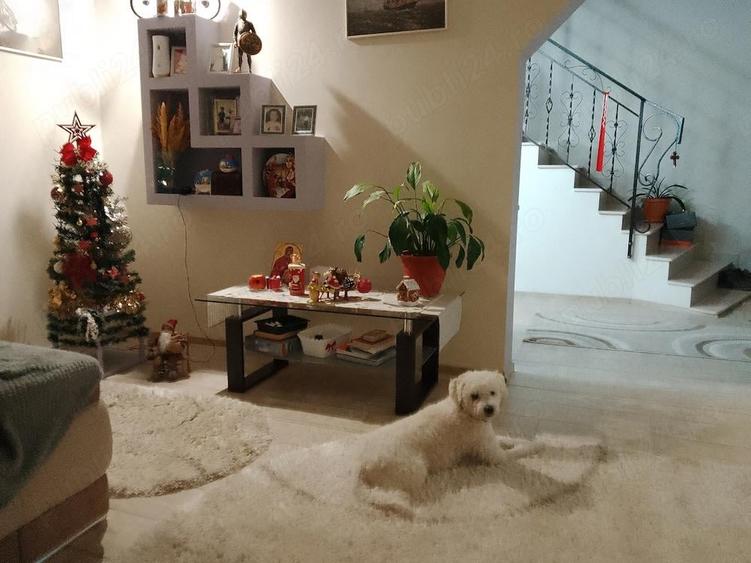 Vind casa i la 7 km pitesti - 1