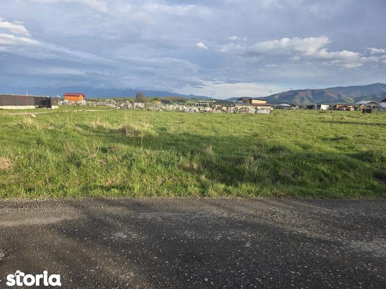 Teren intravilan de va^nzare Calea Cisna?diei, zona Cartierul Arhite - 7