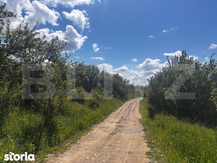 Teren extravilan de vanzare, 2500 mp, zona Valea Sigmirului - 1