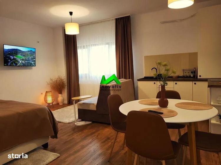 Garsoniera de inchiriat Pet Friendly Sibiu Turnisor - 5