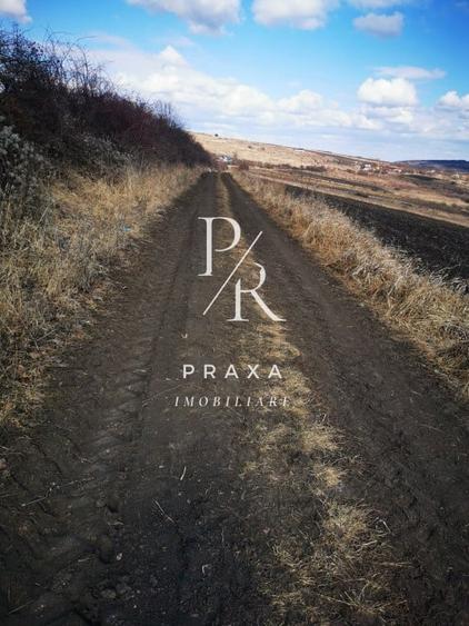 Teren extravilan, 4940 mp, zona Dealul Fanatelor! - 3