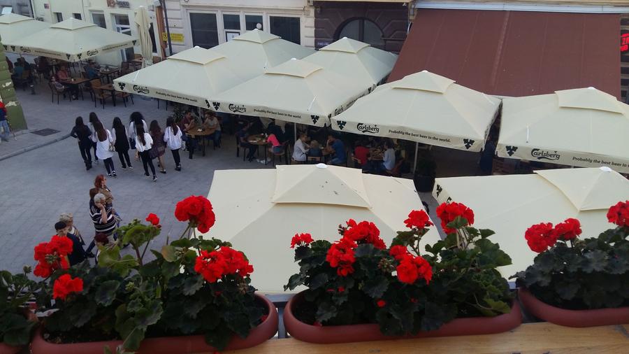 Inchiriere spatiu comercial stradal Piata Ovidiu - 6