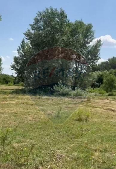 Teren-5000mp DN Ganeasa,sat Sindrilita,T9/Parcela 32/37 - 2