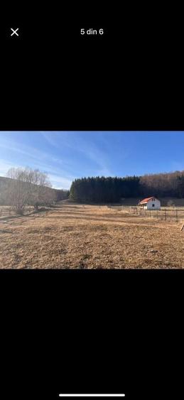 Teren intravilan 4521mp lângă pădure-valea Doftanei -Calea Brasovului - 13