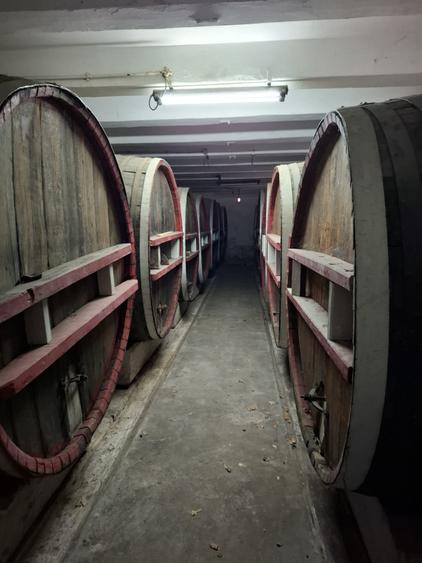 CRAMĂ FUNCȚIONALĂ DE VÂNZARE   ÎN INIMA PODGORIEI ODOBEȘTI (VRANCEA) - 3