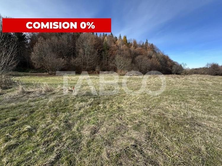 COMISION 0% Teren extravilan 1630 mp langa Rau pe Valea Sebesului - 1
