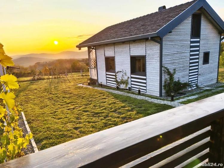 Cabana Casa de vacanta in Bucovina - 6