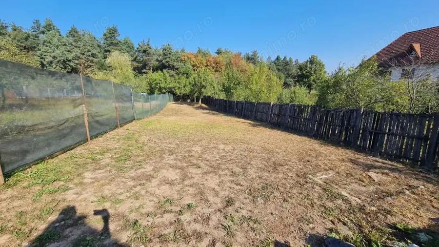 Teren Balotesti, suprafata = 908 mp - 1