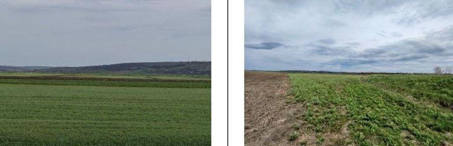 Teren Andrieseni, cota parte 1/20, ID: R2603082 - 20