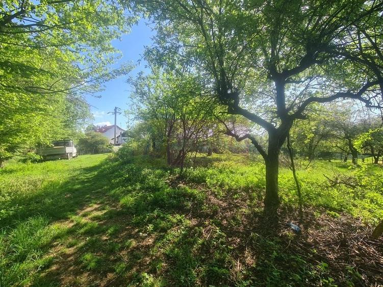 Teren de vanzare in Campina in zona retrasa - 12