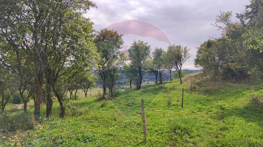 Teren constructii si faneata/livada 3082 mp Damis Bratca drum DJ 764D - 4