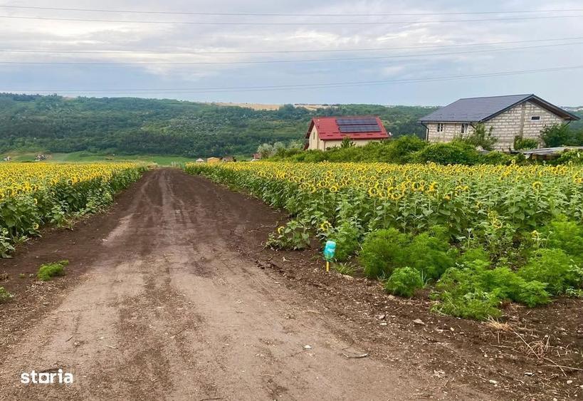 Teren intravilan Valea Lupului - Pensiunea Iris - Restaurant Crystal - 1