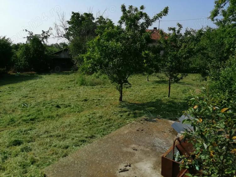 Teren intravilan de vanzare pe care se afla o casa batraneasca - 3