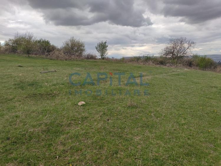 Comision 0! teren intravilan 5500mp, utilitati,  zona, strazii Veseliei Borhanci - 6