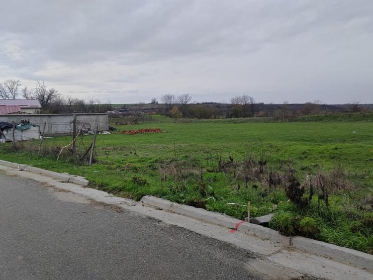 Teren Mischii - 760 mp la asfalt  , toate utilitatile - 1