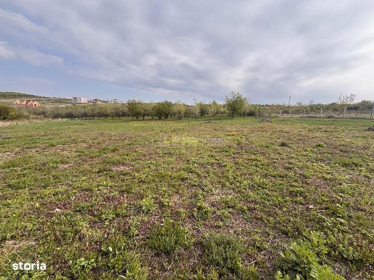 Teren pe colt in Paleu 800 mp ideali pentru casa ta intr-o zona lini - 6