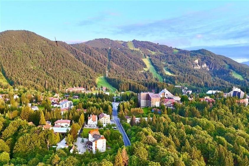 FILM! Rezidenta montana,decor apreciabil, pod mansardabil,garaj propriu,Central - 5