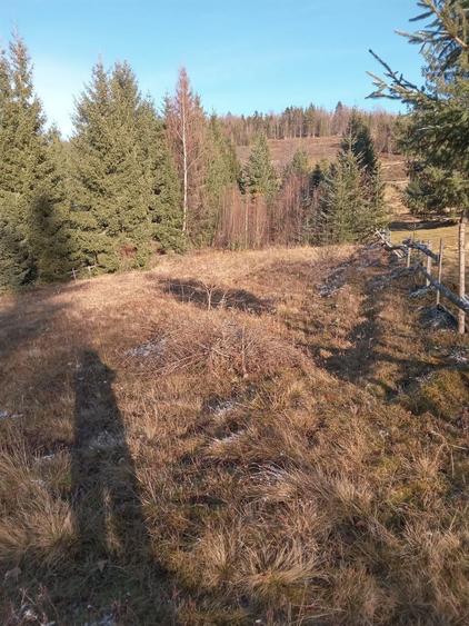 Teren de vanzare - 4