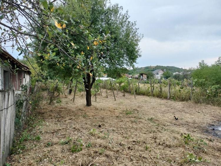 Vand casa 3 camere - 5