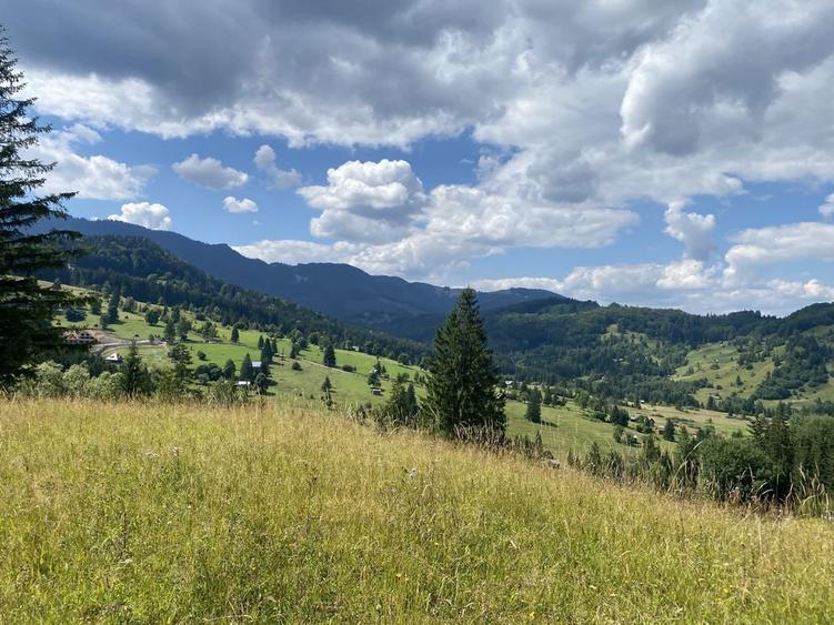 Teren rarau 10 min de partie extravilan parcela de jumatate 5600mp - 4