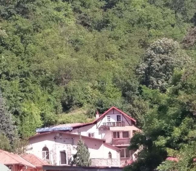 Vila Luminis & Casa Bobi isi cauta noi proprietari