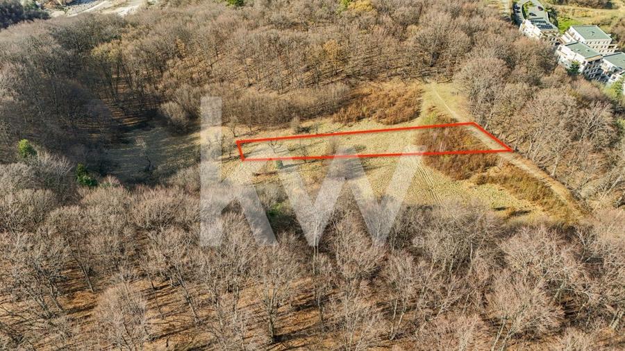 Cel mai mic pret din zona! Teren intravilan in zona Belvedere - 8