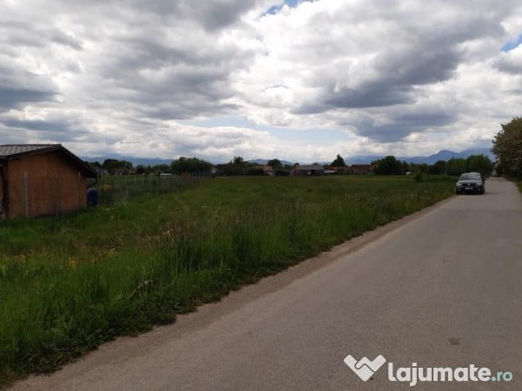 Teren intravilan 5000 mp construibil zona rezidentiala - 4