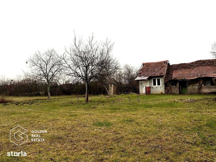 Teren intravilan, pretabil pentru constructie, 2880 mp, comuna Siria - 4