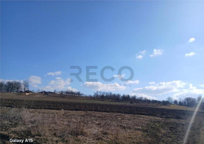 RECO teren Mierlau - 6