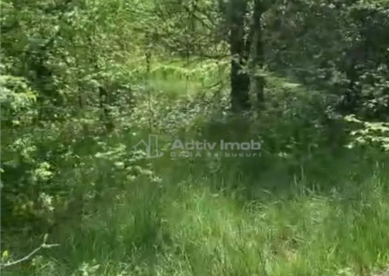 Teren intravilan 500 mp - Ganeasa - 4