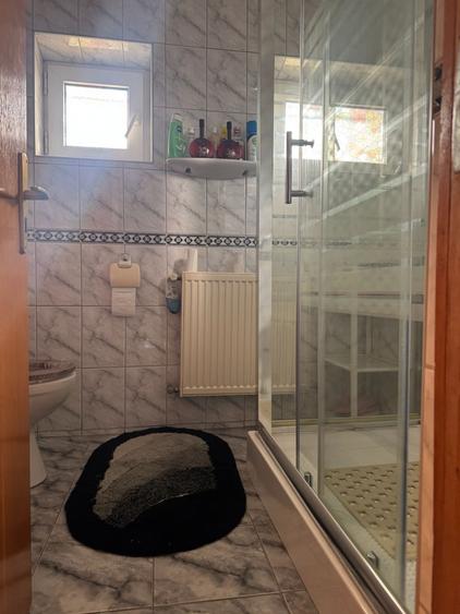 Vanzare vila situata pe malul Lacului Snagov, gradina si piscina, teren 1520 mp, - 14