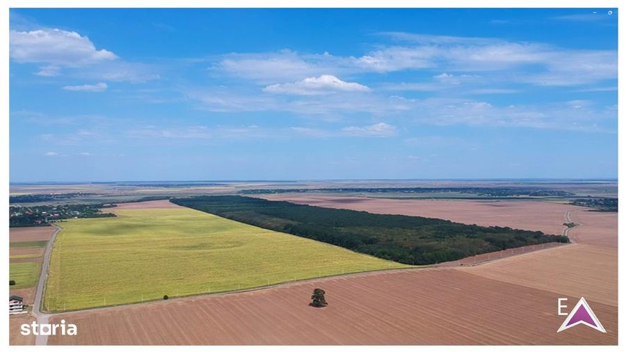 Ocazie dezvoltare - teren 8 parcele - zona premium natura(Frumusani) - 5