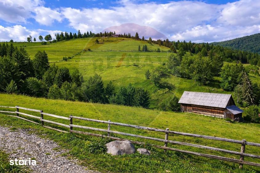 Teren de vanzare in inima Apusenilor 6.500 mp Arie?eni - 2
