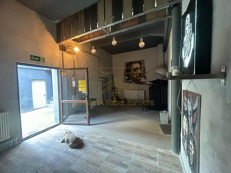 Vanzare - Proprietate cu Potential-Locuinta si Business - 41