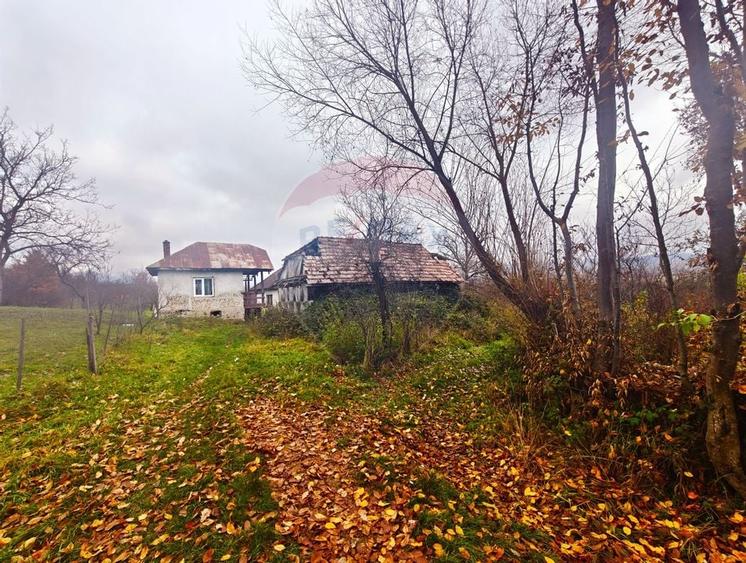 Teren de vânzare Unguraș cu priveliște si anexe - 11