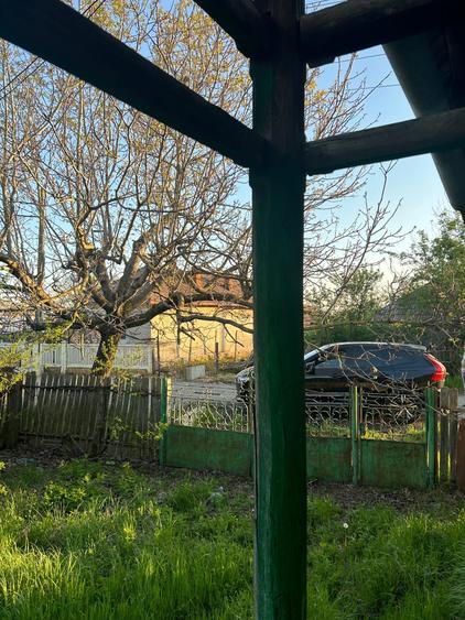 Teren vanzare Dumitresti, Judetul Olt - 4